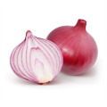 2021 New Season Fresh Vegetable Exporter With International Certificationss Fresh Red Onion